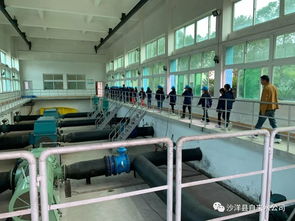 沙洋中小學(xué)生走進(jìn)自來水廠 體驗(yàn)生產(chǎn)流程 樹立節(jié)水意識(shí)